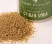 Aromates - Origan Syria sauvage - Origano Syriaca Sauvage