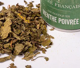 Aromates Sacré français - Herbes de culture - Feuilles - Menthe poivrée - Herbe aromatique au goût frais et intense, la menthe poivrée apporte une note vivifiante à vos plats. Elle se distingue par son arôme mentholé et légèrement piquant, idéale pour rehausser vos recettes sans être envahissante. Utilisez-la après la cuisson dans les salades, les sauces, les desserts ou même les infusions pour une touche rafraîchissante et pleine de saveurs.