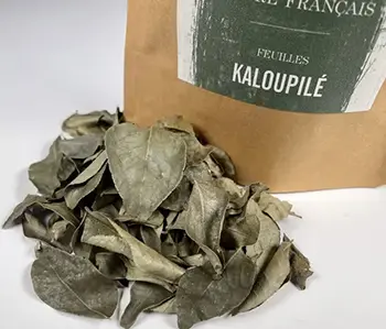 Épices Sacré français - Feuilles - Basse température - Kaloupilé - Feuilles séchées de Kaloupilé, autrement nommées feuilles de curry, très présentes dans les cuisines indiennes, malgaches, réunionnaises et à la base de nombreux mélanges.