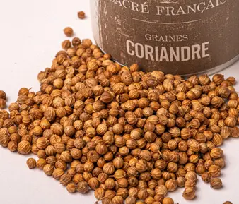 Épices Sacré français - Épice entière - Graines - Coriandre - Nous consommons les graines blondes contenues dans la fleur. La coriandre offre un goût doux-amer et fruitée unique avec des notes de poivre et d'orange.