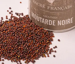 Épices Sacré français - Épice entière - Graines - Moutarde noire - Les graines de moutarde noire sont aromatiques et légèrement amères. Cette épice possède une saveur vivace, qui se développera à chaud et dans un corps gras.