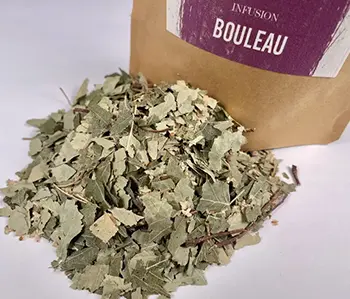 Tisanes Sacré français - Feuilles - Bien être - Feuilles de Bouleau - Les infusions de feuille du bouleau apporte un mieux-être tout particulièrement en cas d'hydropisie, de rhumatisme, d'arthrite, de goutte et  d'infections urinaires.