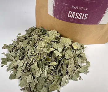 Tisanes Sacré français - Feuilles - Bien être - Cassis - En infusion, il faut compter 5 feuilles par tasse. Surtout ne pas faire bouillir l’eau. Les feuilles sont conseillées pour le traitement symptomatique des douleurs articulaires mineures au niveau des doigts, du poignet, du coude et des chevilles.