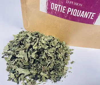 Tisanes Sacré français - Feuilles - Bien être - Ortie piquante - Les infusions de feuilles d'orties séchées possèdent un goût fort et piquant. En infusion, dans de l'eau frémissante (500 ml), jeter 1 cuillère à soupe d'ortie piquante, laisser infuser 10 minutes puis filtrer.