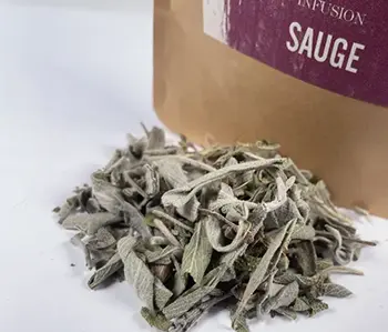 Tisanes Sacré français - Feuilles - Bien être - Sauge Officinale - Sous la forme de feuilles séchées, la sauge est un tonifiant. Cette feuille s'utilise en infusion pour un effet antiseptique puissant.