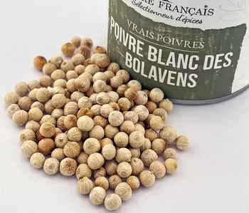 Poivres Sacré français - Vrais Poivres - Laos - Poivre Blanc Bolavens - Un trésor du Laos n'est pas une simple note de poivre. Il offre une palette aromatique complexe, où la puissance des épices se mêle à la finesse de notes fruitées, créant ainsi un équilibre unique.